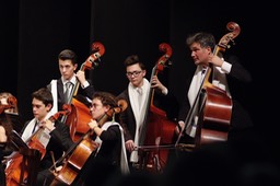 MusicalMente String Orchestra, Telethon